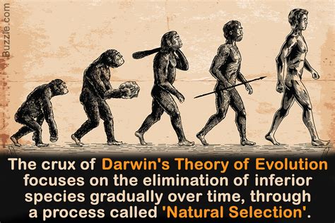 泛生論|達爾文演化論Darwins Evolutionary Theory